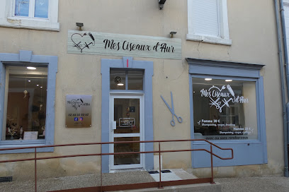Mes Ciseaux D'aur, Coiffeur à Saint-Mars-d'Outillé