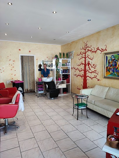 Coiffure Du Lac, Salon de Coiffure aux Salles-sur-Verdon