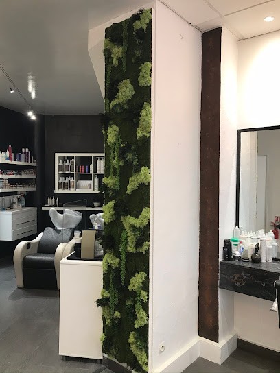 Olivier Castelain COIFFEUR, Salon de Coiffure à Paris 08