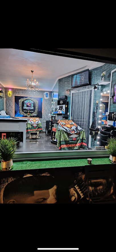 L'homme Élégant Coiffeur à Aulnoye-Aymeries
