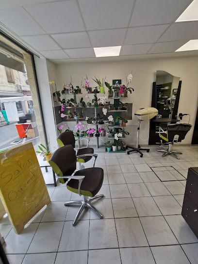 samantha coiffure, Salon de Coiffure à Saint-Cyprien