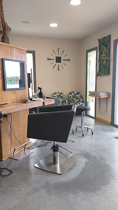 Vogue Coiffure, Salon de Coiffure à Truyes