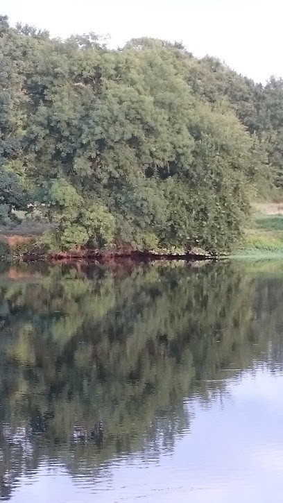 Cheveux d'Ange, Salon de Coiffure à Queaux