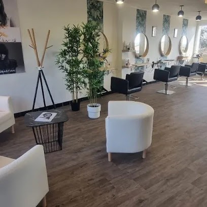 SB Coiffure, Salon de Coiffure à Sorbiers