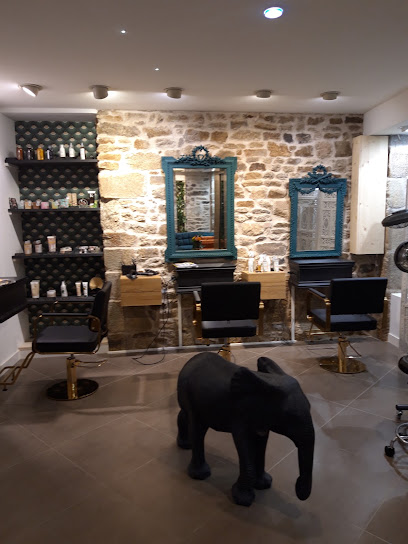 Canopée Coiffeur à Quintin