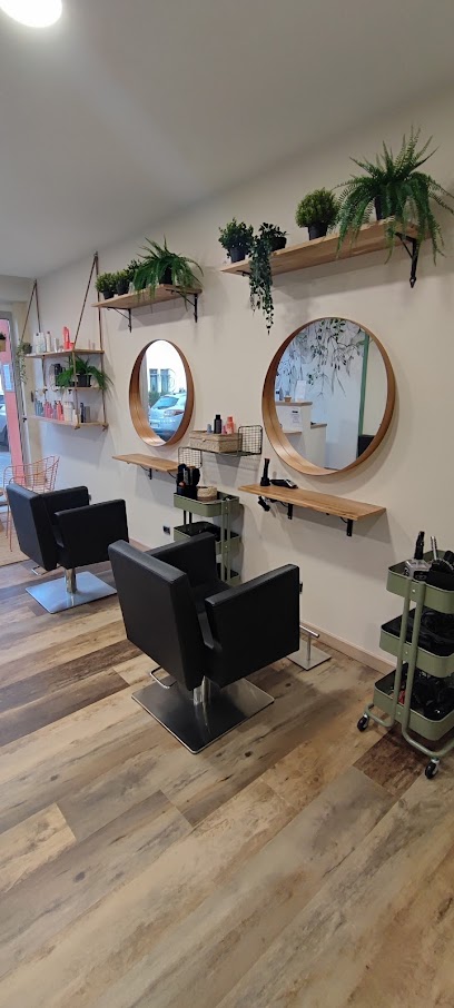 Messieurs Dames Coiffeur à Saint-Jean-de-Boiseau