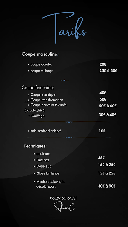 Sylvain.c - Coiffeur Toulouse Coiffeur à Toulouse