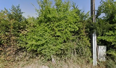 Gloria Coiffure, Coiffeur à Domicile à Villars-et-Villenotte