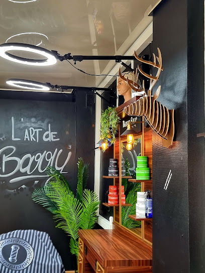 L'art De Barry Barbier à Mulhouse