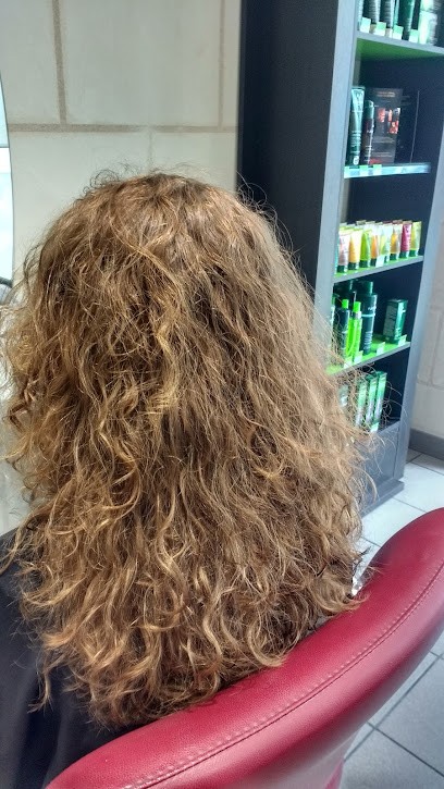 Art Studio, Salon de Coiffure à Saumur