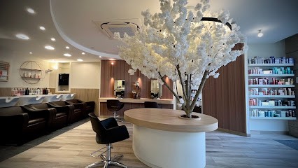 Yseal Salon & Coiffure (Langres), Salon de Coiffure à Langres