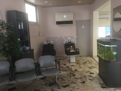 SALON BERNARD, Salon de Coiffure à Libourne