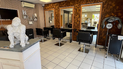 Ld Coiff " Couleur&Style " Coiffeur à Cucq