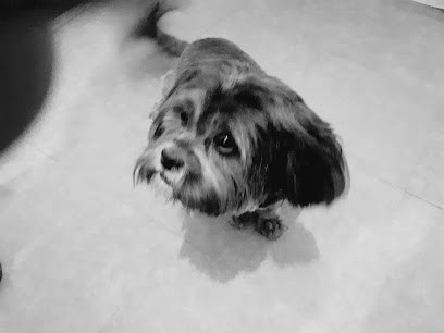 Univers De Coiffure, Salon de Coiffure à Lucé