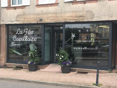 Fée Capillaire, Salon de Coiffure à Sarrebourg