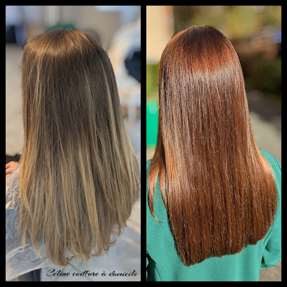 Céline Coiffure À Domicile, Coiffeur à Montagnole