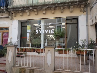 Coiffure Sylvie, Salon de Coiffure au Pouget