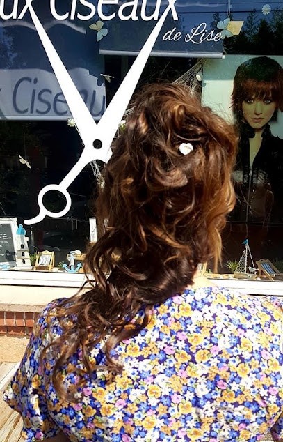 Aux ciseaux de Lise, Salon de Coiffure à La Regrippière