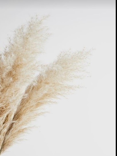 Amandine.devienne COIFFEUSE ESTHÉTICIENNE à domicile, Coiffeur à Domicile à Cysoing