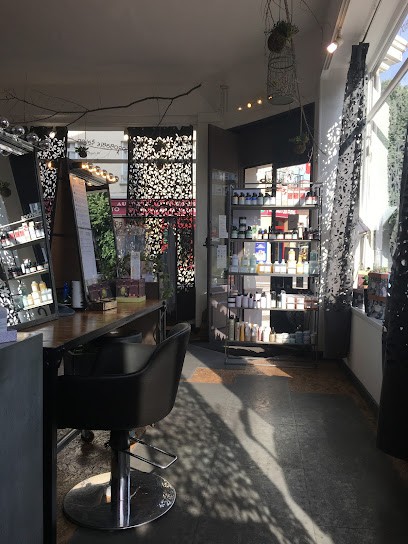 L Improbable Salon, Salon de Coiffure à Rouen