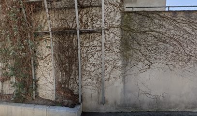 Aux Mille Peignes, Salon de Coiffure à Rodez