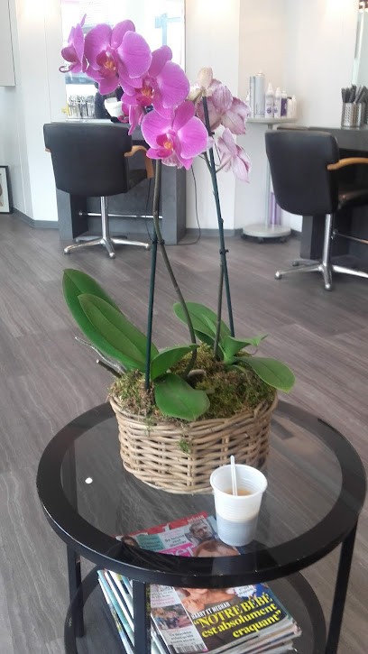 Dégrif'Coiffure, Salon de Coiffure à Lingolsheim