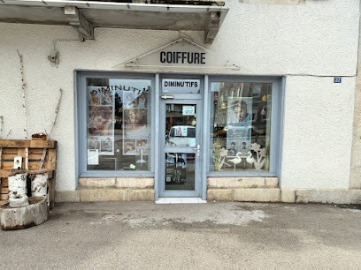 Diminu'tif Sarl, Salon de Coiffure au Russey