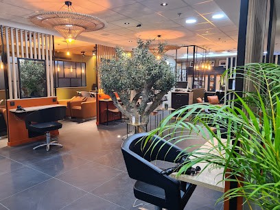 PATRICE LENFANT COIFFEUR, Salon de Coiffure à Mayenne