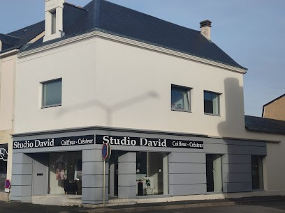 Studio David - Coiffeur Créateur, Salon de Coiffure à Thouars