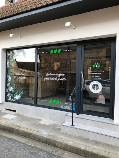 Les Cheveux De Chloe, Salon de Coiffure à Montmarault