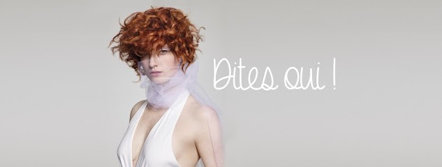 Camille Albane - Coiffeur Paris Vaugirard, Salon de Coiffure à Paris 15