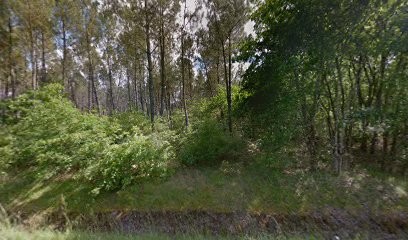 LAURE, Coiffeur à Domicile à Luxey