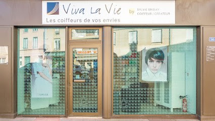 Viva la Vie By Sylvie Briday, Salon de Coiffure à Chauffailles
