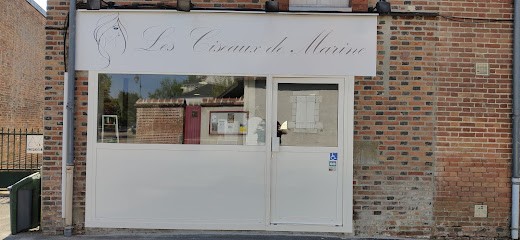 Les Ciseaux De Marine, Salon de Coiffure à Marcilly-en-Villette