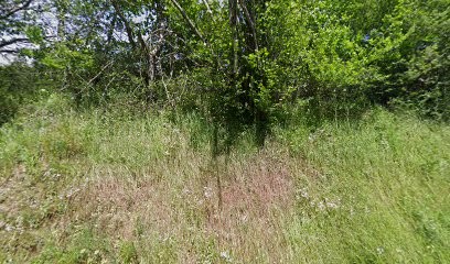 Mandairon Valérie, Coiffeur à Domicile à Brullioles
