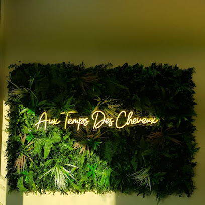Aux Temps Des Cheveux Coiffeur à Évreux