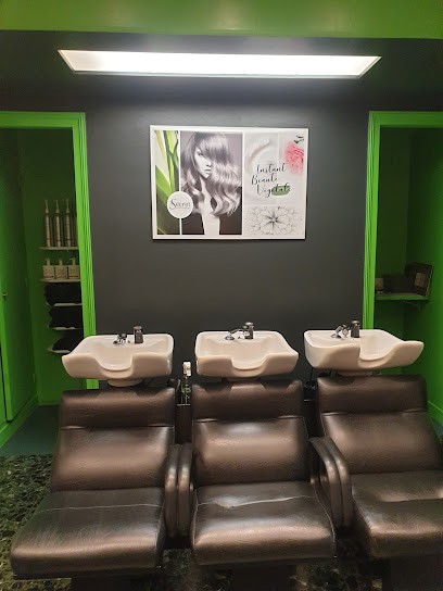 INTEMPOREL Coiffure, Salon de Coiffure à Fontenay-aux-Roses