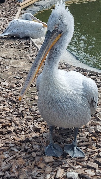 Styl'Coiff, Salon de Coiffure à Ghyvelde