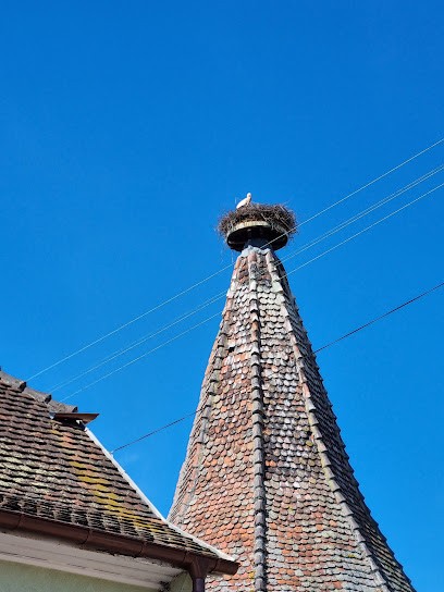 Coiffure Révélation, Salon de Coiffure à Ribeauvillé