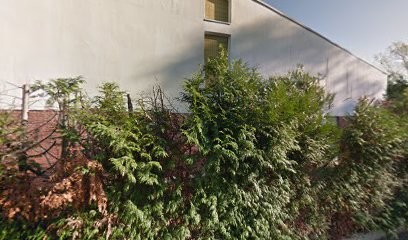 Angelhairs, Coiffeur à Domicile à Saint-Louis