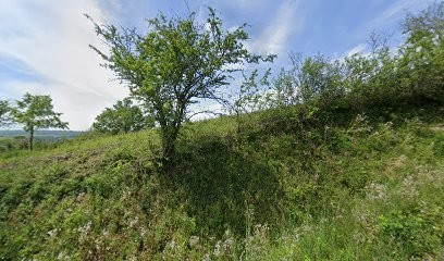 Delphine Coiffure à Domicile, Coiffeur à Domicile à Giroussens