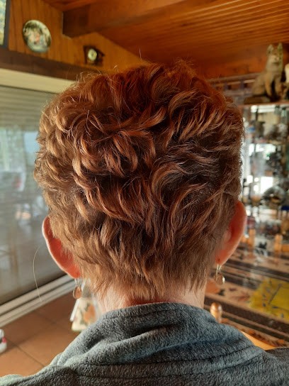 Salon De Coiffure - Patrice Chambon, Salon de Coiffure à Clermont-Ferrand