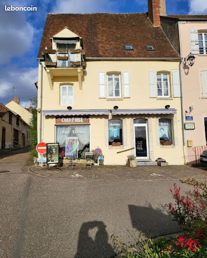 STYLE COIFFURE Violon Catherine, Salon de Coiffure à Saint-Sauveur-en-Puisaye