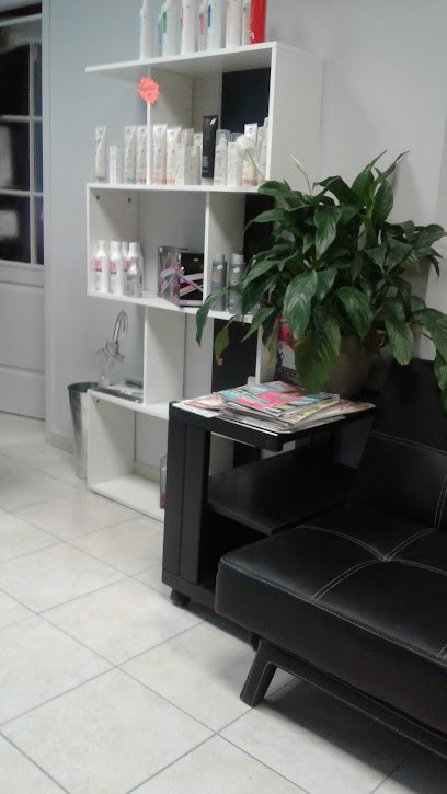 Céline Coiffure, Salon de Coiffure à Annonay