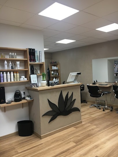 Sarl Liberty's Coiffure, Salon de Coiffure à Villeneuve-lès-Maguelone