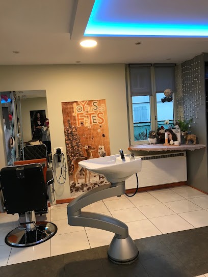 Coiffure Sylvie, Salon de Coiffure à Geudertheim
