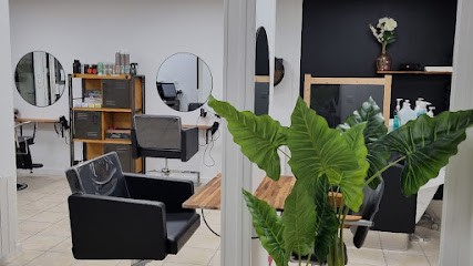 Cléo Couleurs, Salon de Coiffure à Sérent