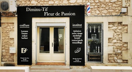 Diminu- Tifs, Salon de Coiffure à Sénas