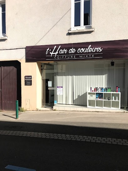 T'HAIR DE COULEURS, Salon de Coiffure au Loroux-Bottereau