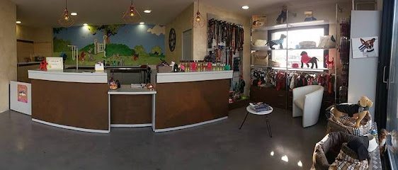 Le Salon D'audrey Coiffeur à Elne